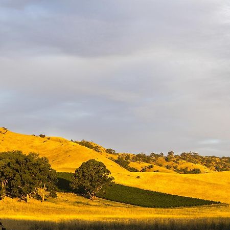 Dairyman'S Cottage Lyndoch Exterior photo