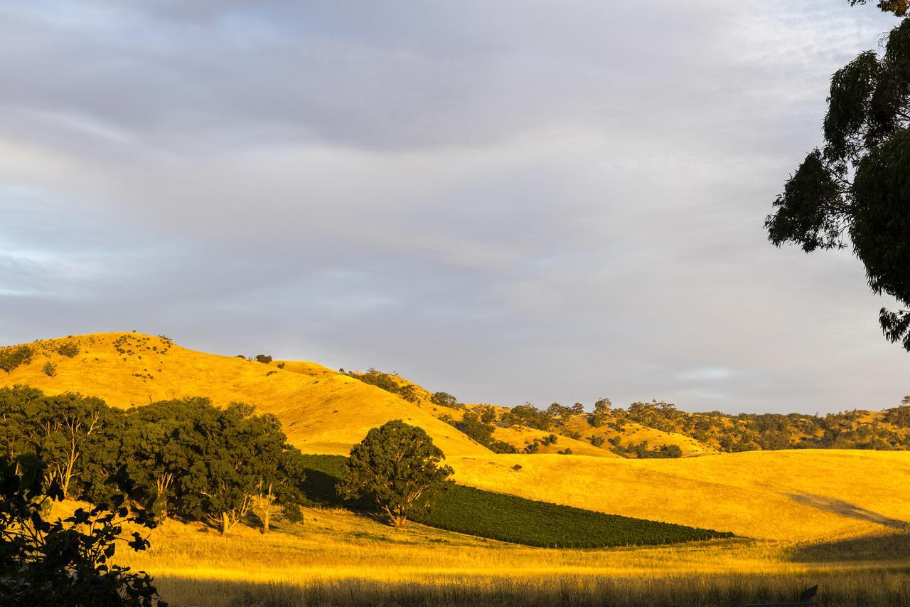 Dairyman'S Cottage Lyndoch Exterior photo