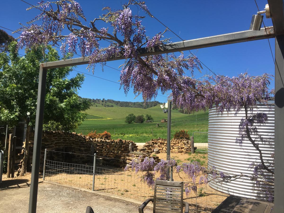 Dairyman'S Cottage Lyndoch Exterior photo